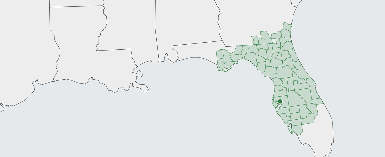 Map of Tampa Area
